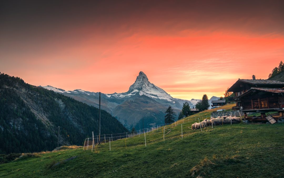 Guided Summer Alpine Adventure