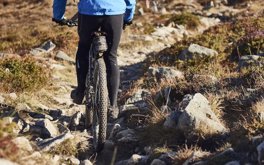 Guided Rhone Cycle Route & Alpine Lakes