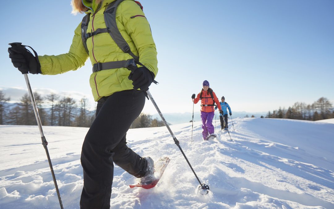 Guided Winter Wonderland